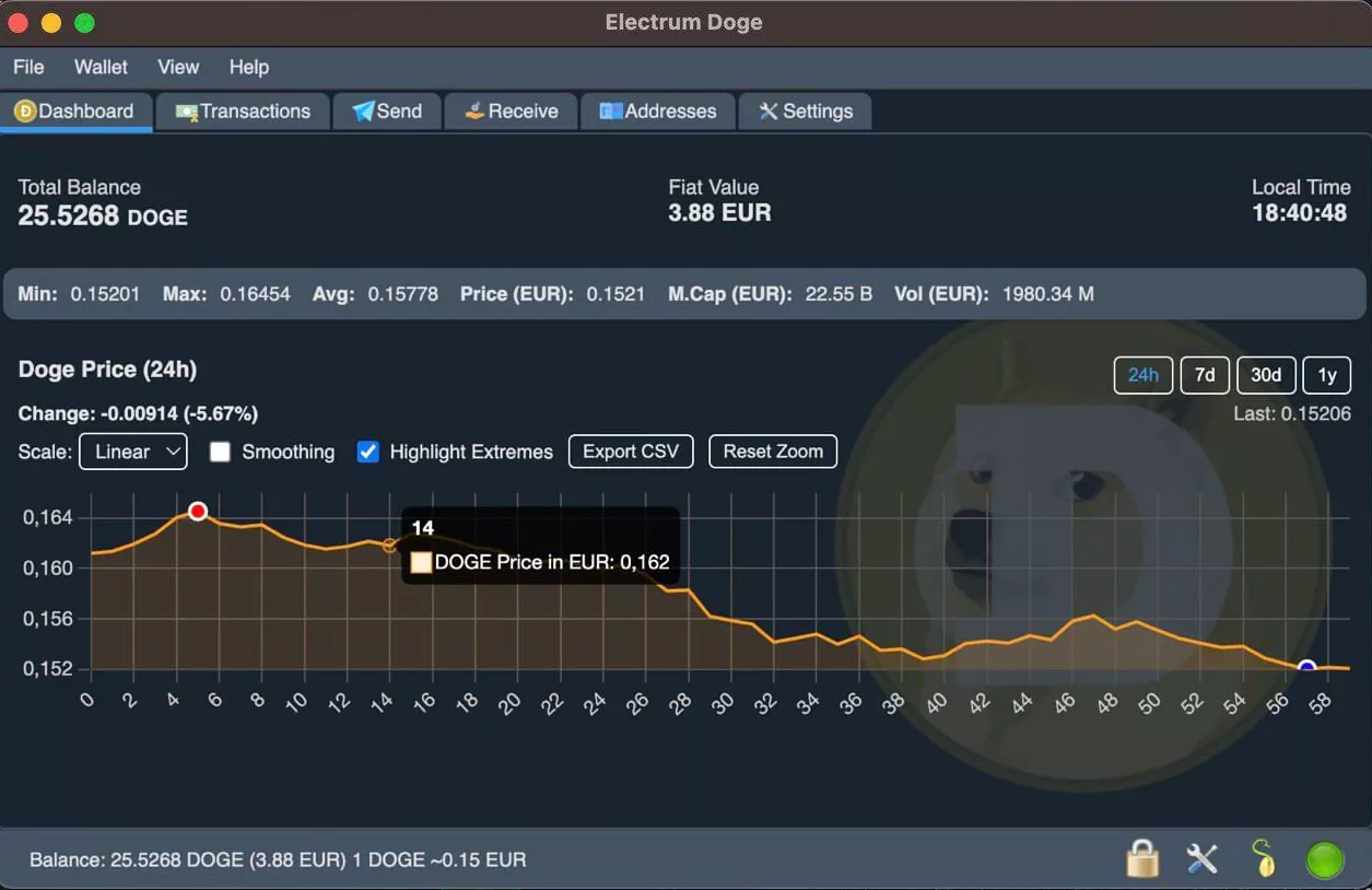 Screenshot of Electrum Doge Interface
